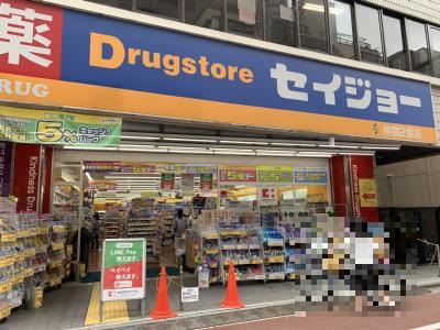 第一はない荘 ドラッグストア：ココカラファイン くすりセイジョー仲宿二番店　296m