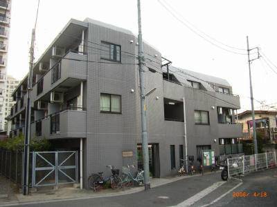 テラスデイジィ 無題 100_400.jpg