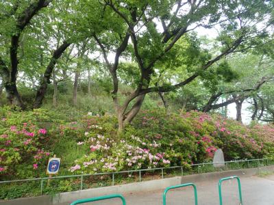 サイレントＦ 公園：加賀公園　376m