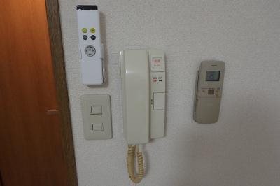 テラスデイジィ P9230811_400.jpg