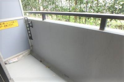 テラスデイジィ P9230815_400.jpg