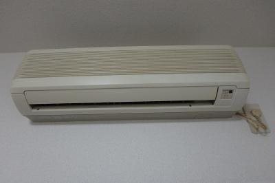 テラスデイジィ P9230822_400.jpg